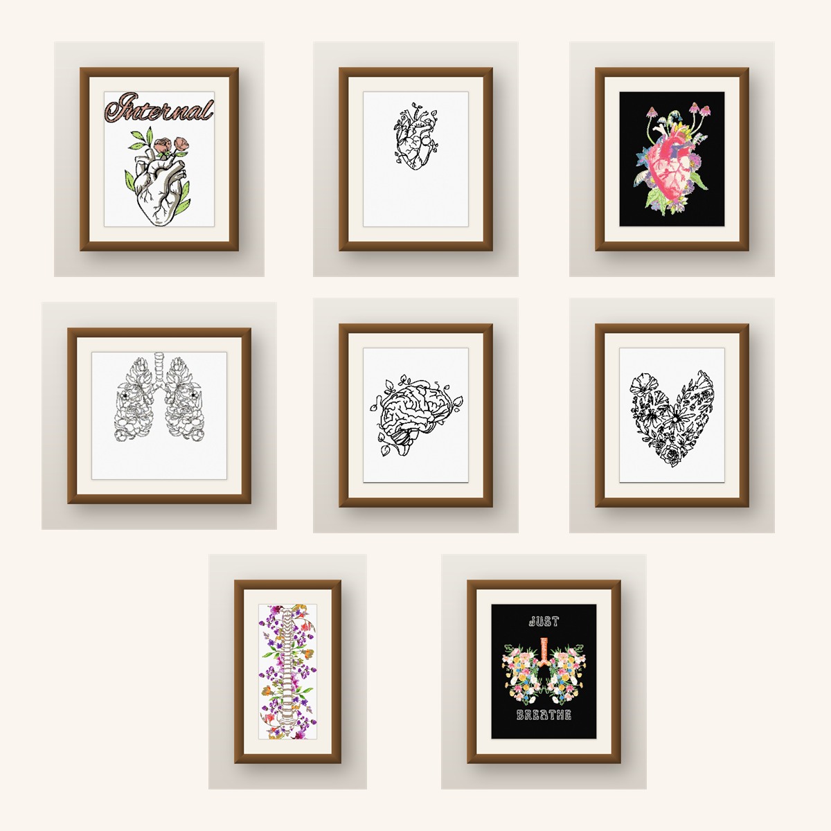 Anatomy and Line Art — Complete Bundle